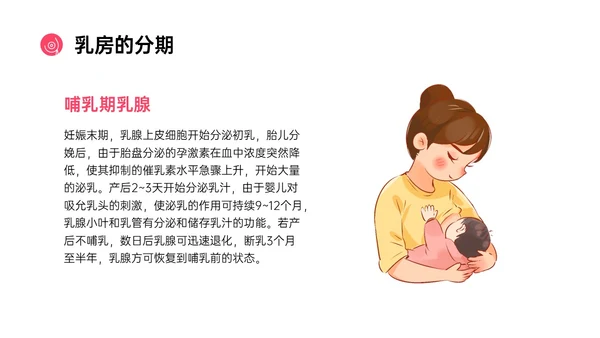 粉红色简约风乳房护理相关知识培训PPT课件乳腺