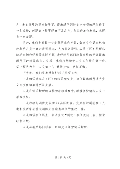 娱乐场所安全整顿自查报告.docx