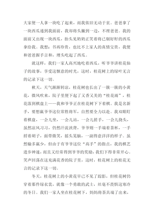 家门前的桂花树作文.docx