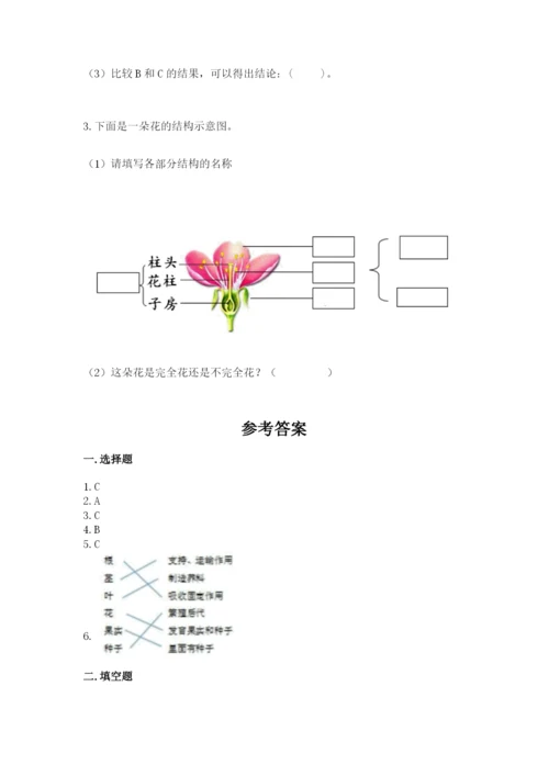 科学四年级下册第一单元《植物的生长变化》测试卷附完整答案（考点梳理）.docx