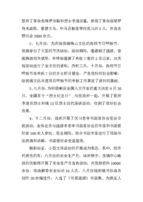文化站个人工作总结精选范本