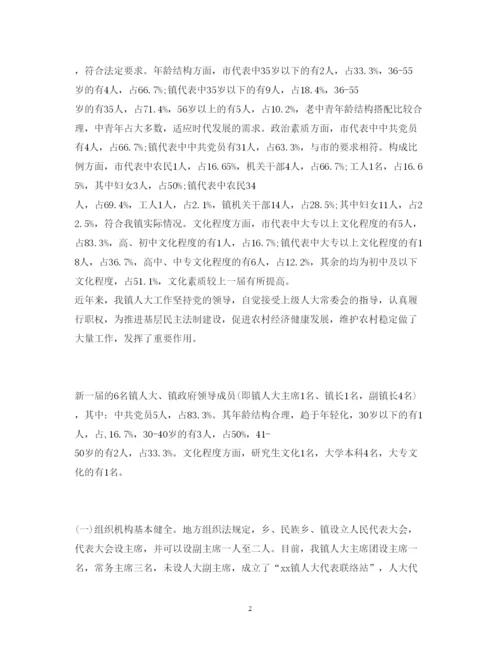 精编乡镇人大工作调研报告范文.docx