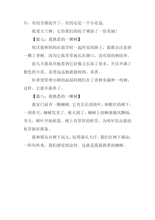 我熟悉的一棵树作文100字.docx