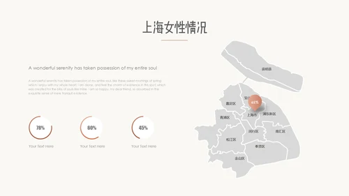 高端母婴产品推广通用PPT模板