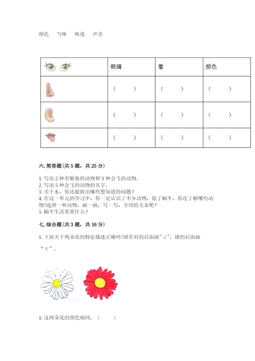 教科版小学科学一年级下册期末测试卷参考答案.docx