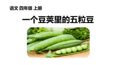 5《一个豆荚里的五粒豆》  课件