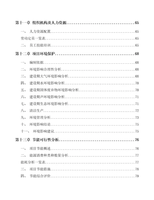 三亚单晶炉项目可行性研究报告参考模板