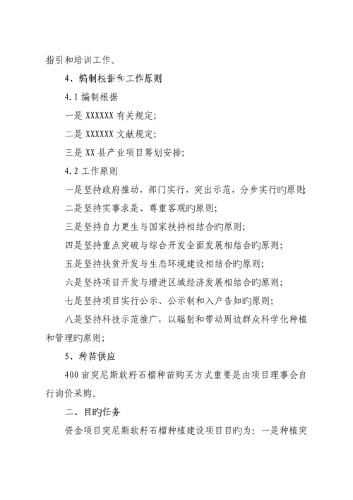 火龙果实施专题方案.docx