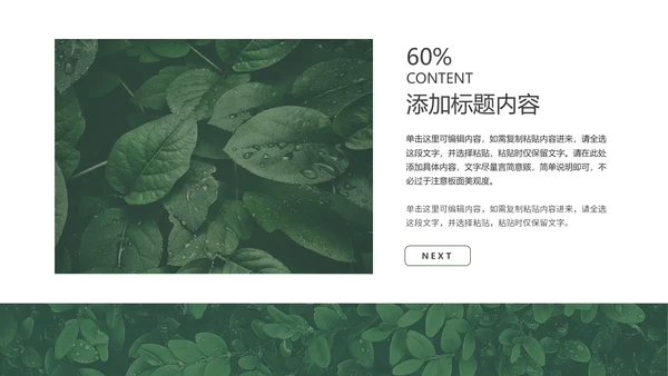 绿色清新简约风月度总结PPT模板