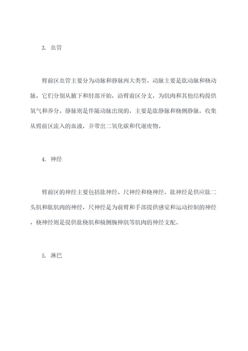 臂前区知识点总结