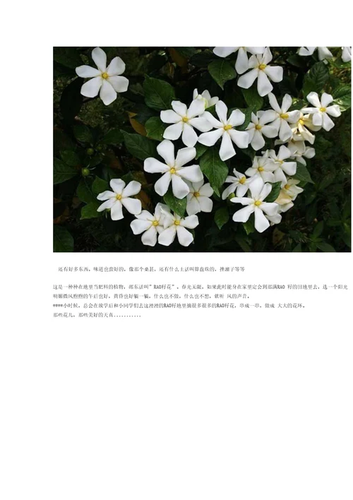 中国江西特产