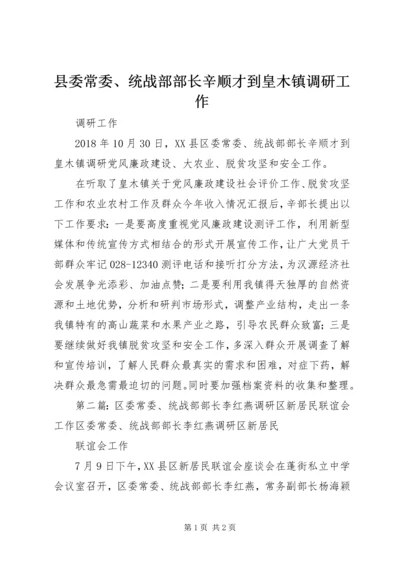 县委常委、统战部部长辛顺才到皇木镇调研工作_1.docx