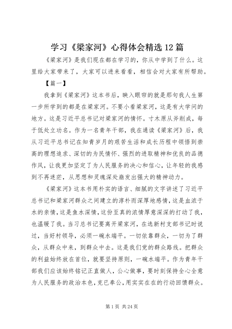 学习《梁家河》心得体会精选12篇.docx