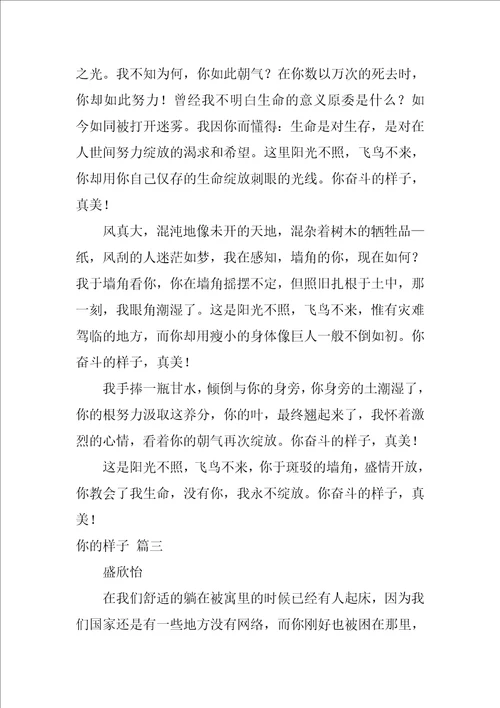你的样子作文