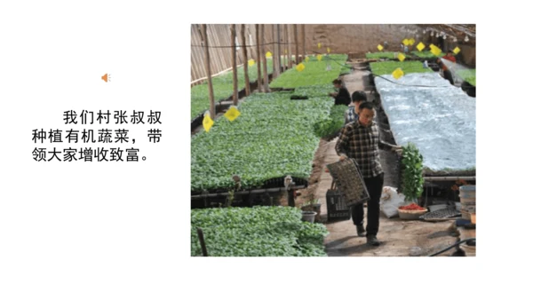 三下7 请到我的家乡来 第二课时 课件（78张PPT）含答疑