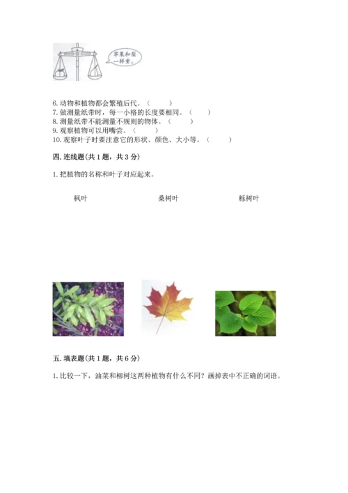 教科版科学一年级上册期末测试卷精华版.docx