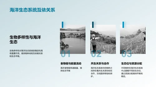 可持续渔业管理