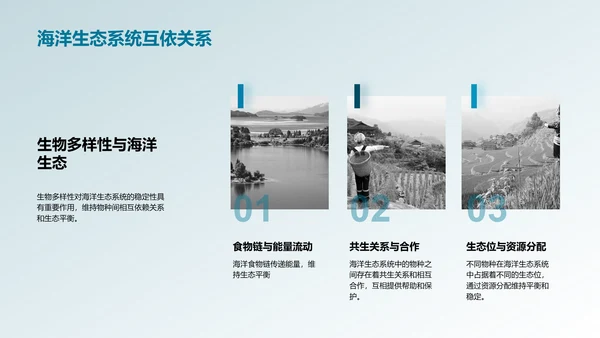 可持续渔业管理