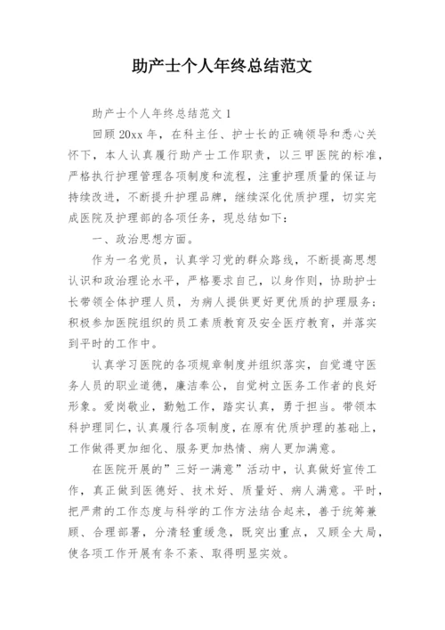 助产士个人年终总结范文.docx