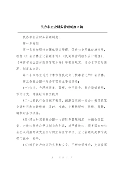 民办非企业财务管理制度3篇.docx