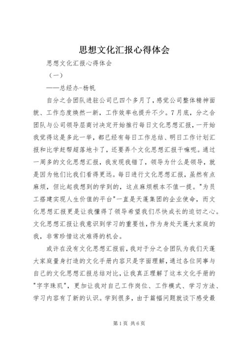 思想文化汇报心得体会 (2).docx