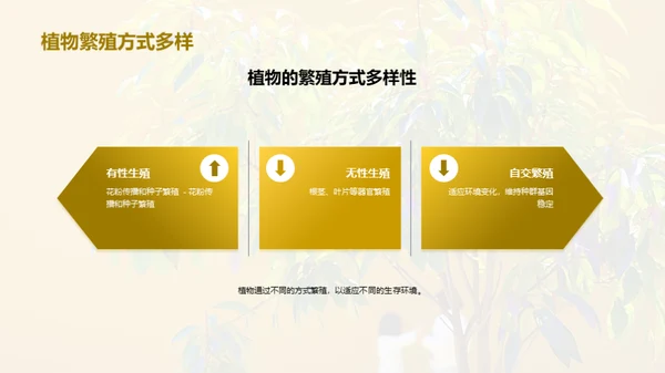 商务风教育培训教学课件PPT模板