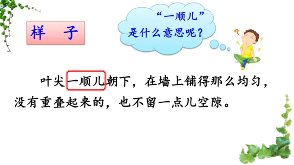 10 爬山虎的脚  课件