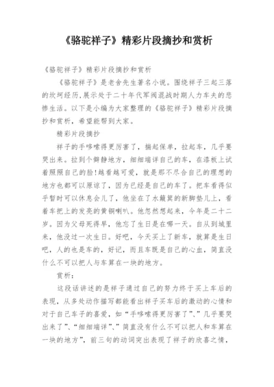 《骆驼祥子》精彩片段摘抄和赏析.docx