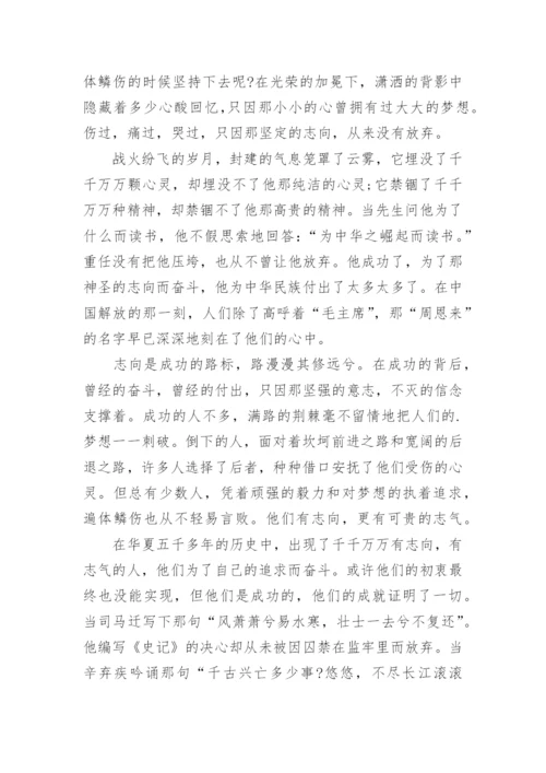 追逐梦想的议论文.docx