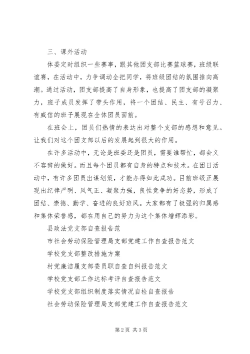 团支部自查报告.docx