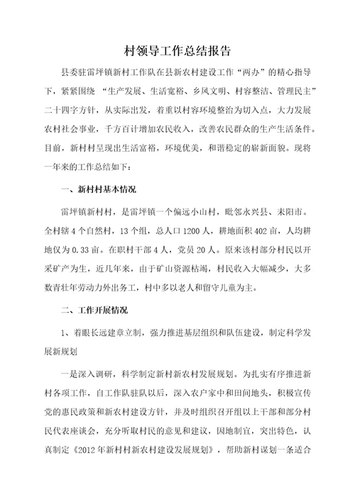 村领导工作总结报告