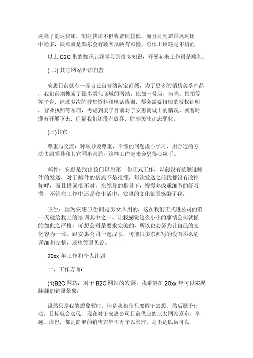 网络销售工作总结及目标