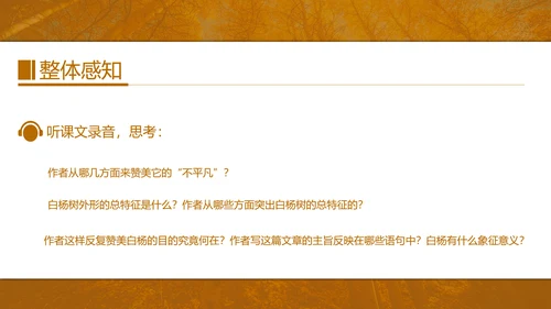 初中语文茅盾《白杨礼赞》PPT教学课件