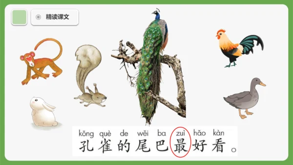8《比尾巴》课件
