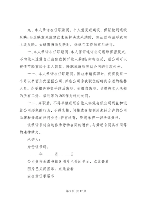 公司责任承诺书集合10篇.docx