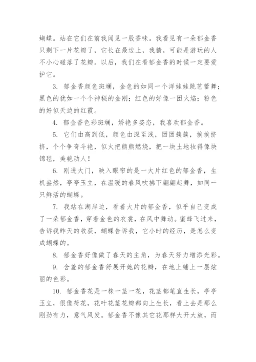 郁金香的句子.docx