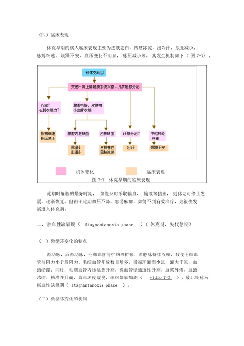 休克地分期与发病机制