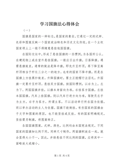 学习国旗法心得体会.docx