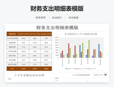 财务支出明细表模版