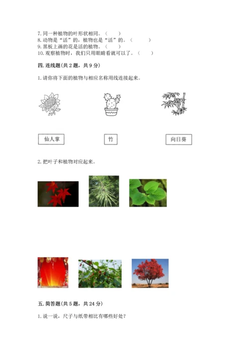 教科版一年级上册科学期末测试卷附答案（精练）.docx