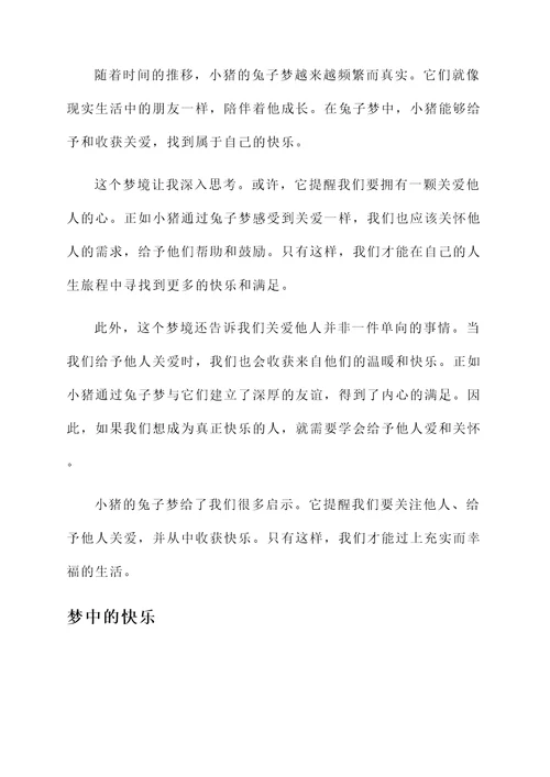 小猪的兔子梦感想