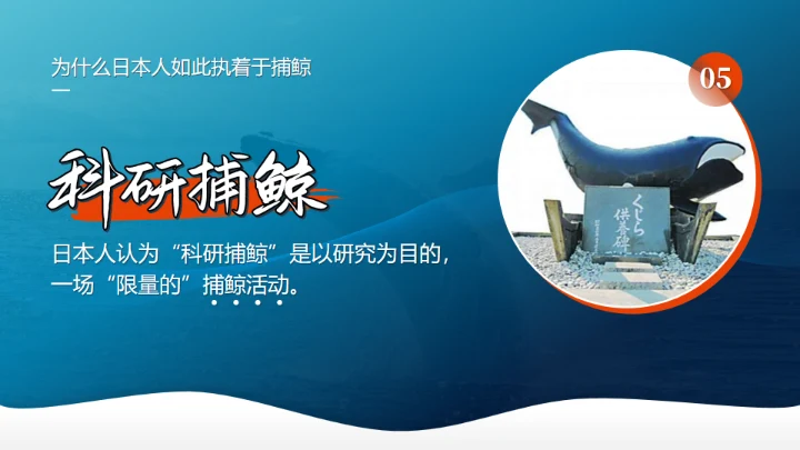 鲸落万物生鲸鱼知识讲座通用PPT模板