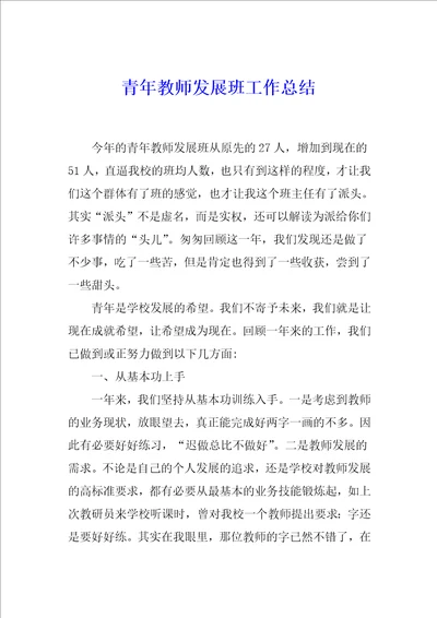 青年教师发展班工作总结