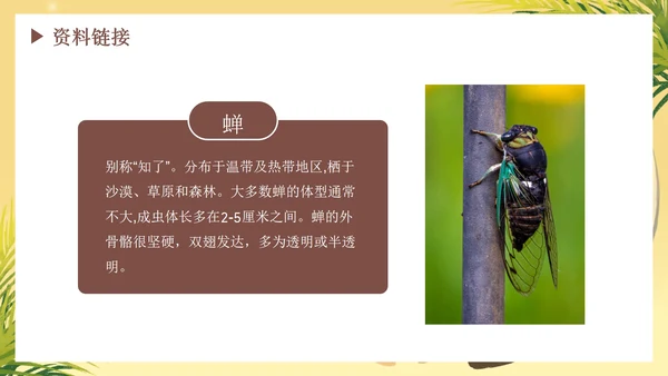 部编版语文六年级下册《表里的生物》