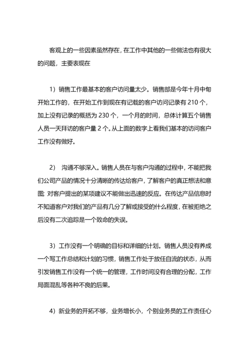 销售经理的年度工作总结及工作计划范文.docx