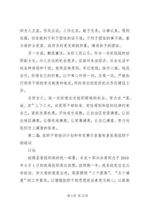 挂职干部学习实践计划.docx