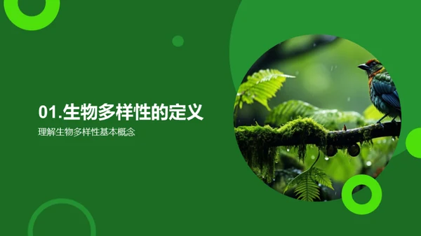 理解与保护生物多样性