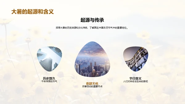 大暑团建盛典