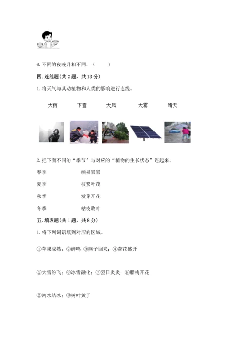 教科版二年级上册科学期末测试卷含完整答案（考点梳理）.docx