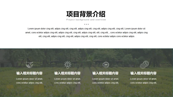 美丽乡村旅游项目乡村旅游通用PPT模板